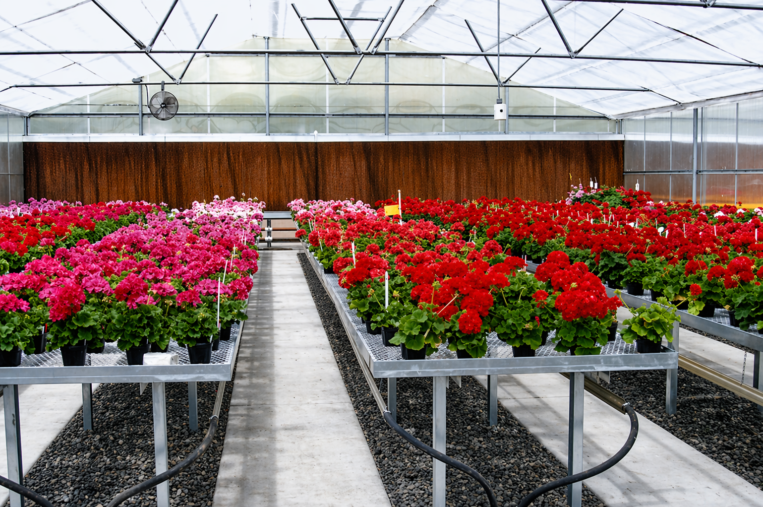 Stationary greenhouse bench runs